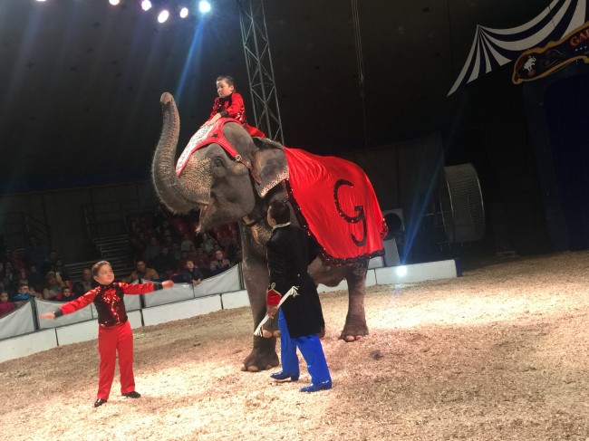 Фоторепортаж: представление «Шоу слонов» цирка братьев Гертнер