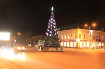Сегодня в Новочеркасске откроется главная городская елка