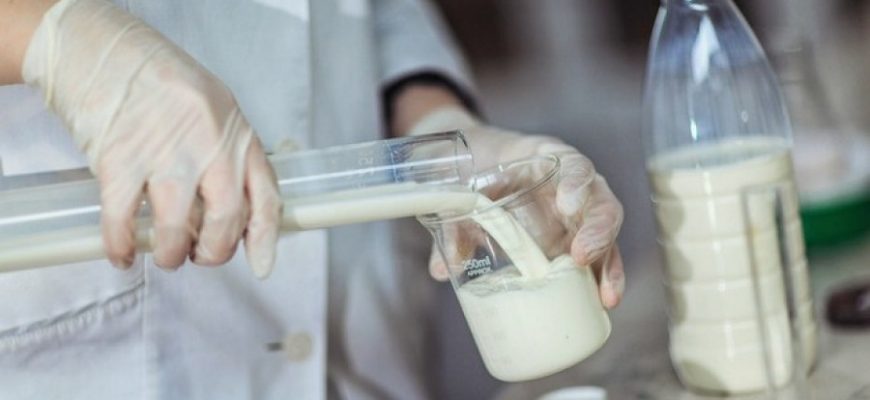 В Новочеркасске пресекли поставку молочного фальсификата в детские сады и школы