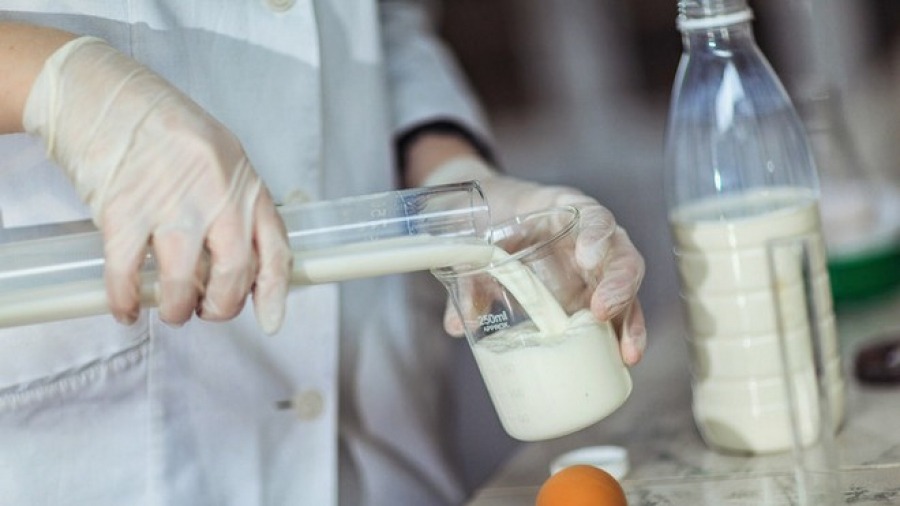 В Новочеркасске пресекли поставку молочного фальсификата в детские сады и школы