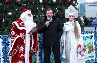В Новочеркасске состоялось открытие главной городской елки