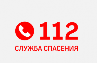 Экстренные службы Новочеркасска за Новогодние каникулы приняли свыше 4,5 тысяч обращений