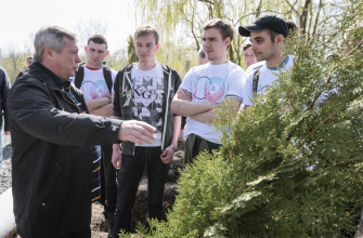 Глава региона призвал жителей Ростовской области участвовать в традиционном Дне древонасаждений