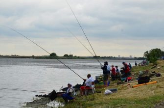 В донском регионе пройдёт фестиваль «Народная рыбалка-2019»