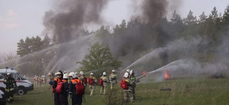 Система «Лесохранитель» позволила выявить и ликвидировать на Дону более 200 пожаров
