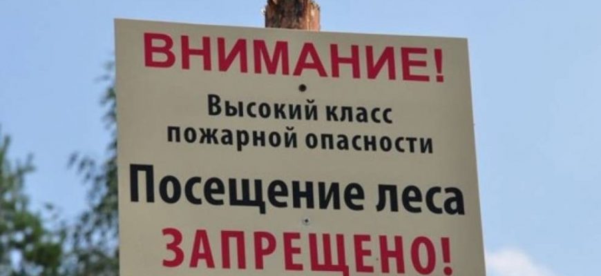 На Дону продлен режим ограничения пребывания граждан в лесах