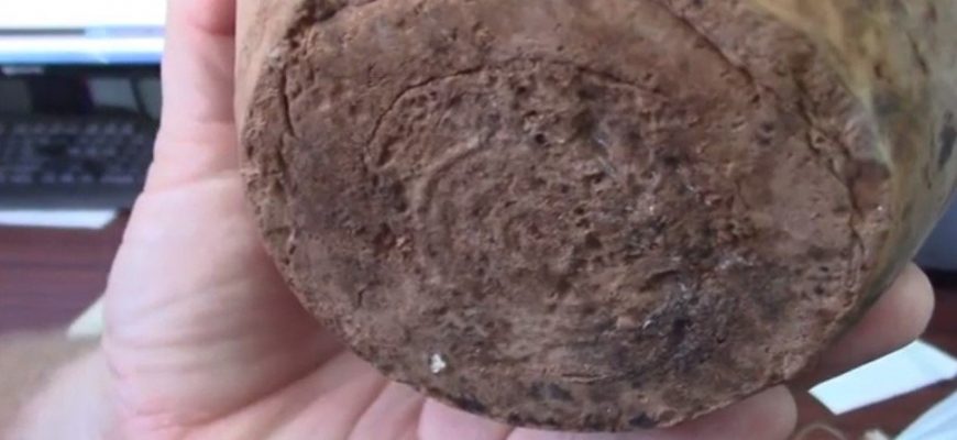 Уникальная археологическая находка была обнаружена в Ростовской области