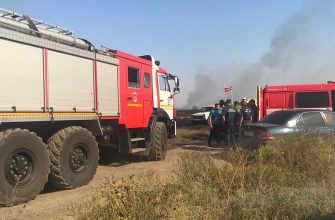 Очередной ландшафтный пожар успешно ликвидирован в Новочеркасске