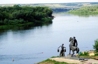 НА ДОНУ СПАСЛИ ДВУХ ДРУЗЕЙ НА САМОДЕЛЬНОМ ПЛОТУ