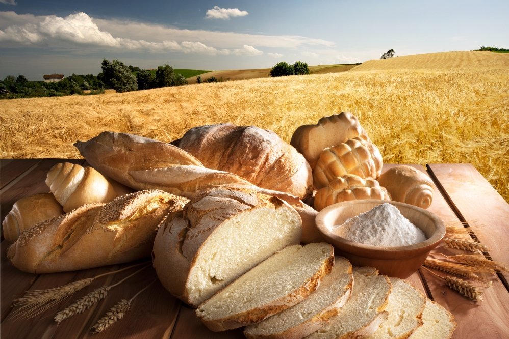 Хлеб земли человек