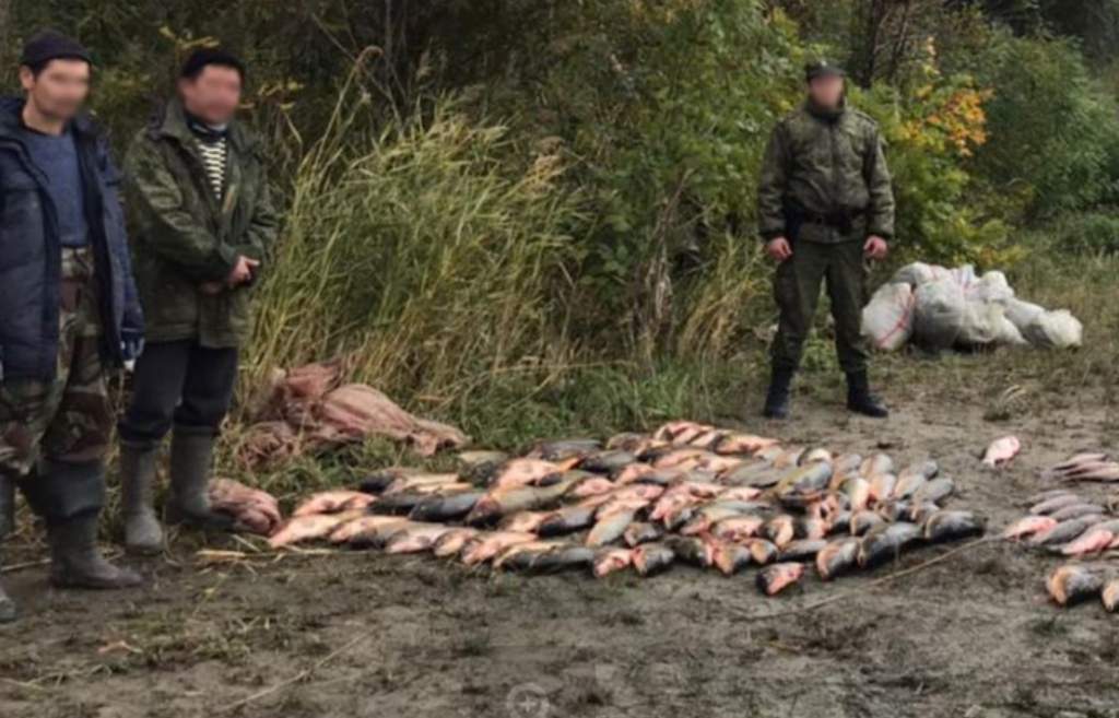 В Азовском море ФСБ России задержала браконьеров с уловом на 170 тысяч рублей