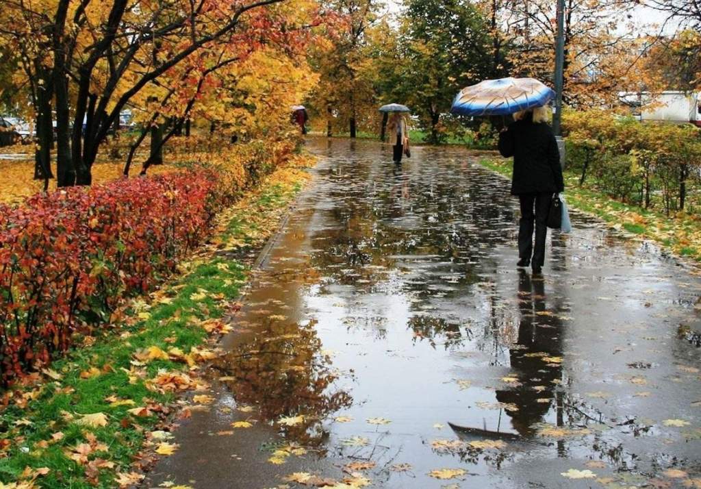 Дождь и похолодание ждут жителей Новочеркасска 11 октября
