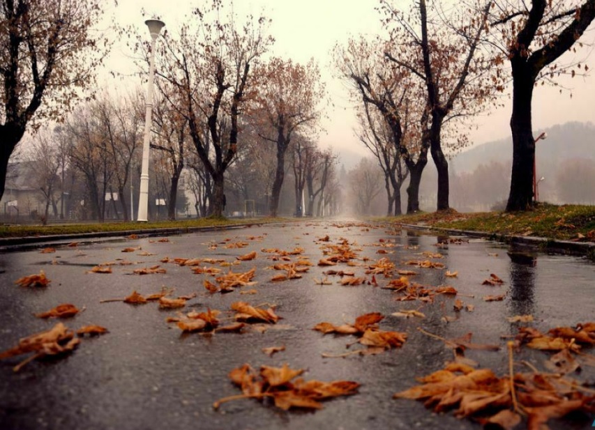 Пасмурную и маловетреную погоду обещают синоптики в Новочеркасске 27 октября