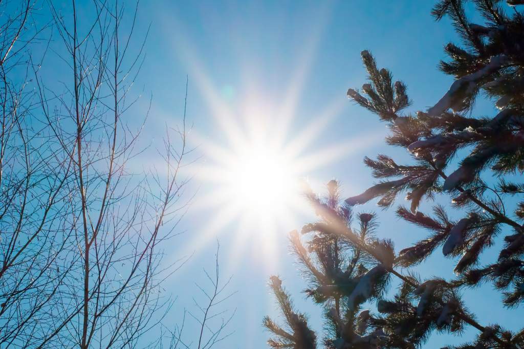 Морозный и ясный понедельник ожидается в Новочеркасске 5 декабря