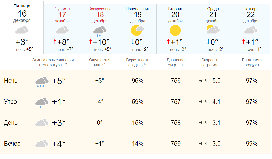 Сырая погода. Пасмурно декабрь. Погода в Новочеркасске. Новочеркасск пасмурно.