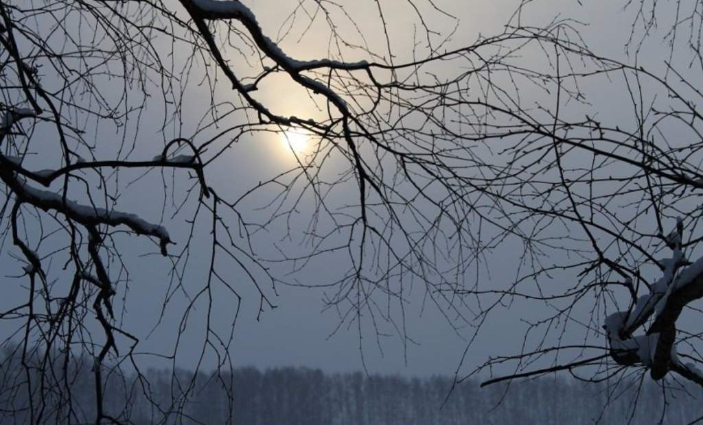 Облачная с прояснениями погода ждет Новочеркасск 2 декабря
