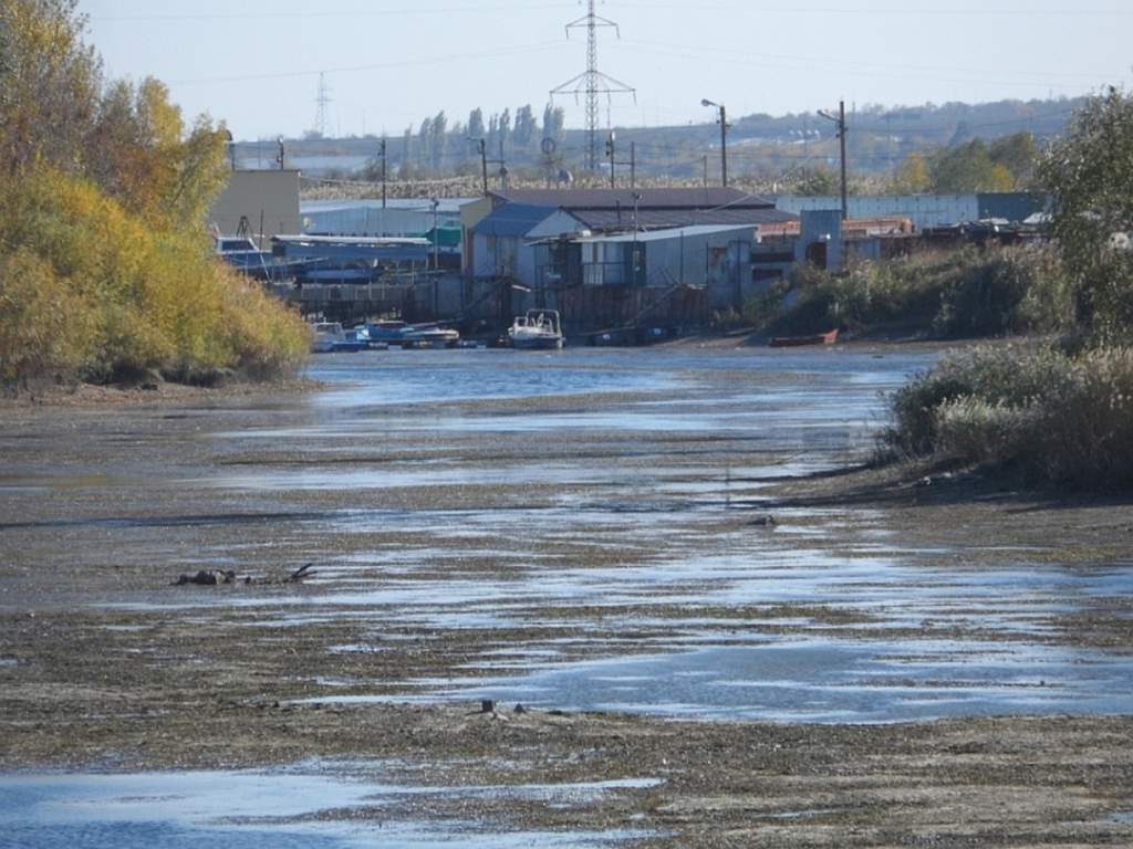 В Ростовской области ветер согнал воду в реке Дон до низких отметок