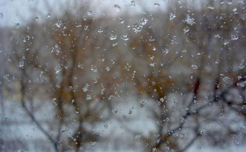 Сырая и пасмурная погода ожидается в Новочеркасске 19 февраля