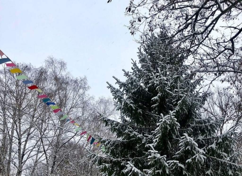 Облачная с прояснениями погода ожидается в Новочеркасске 24 февраля