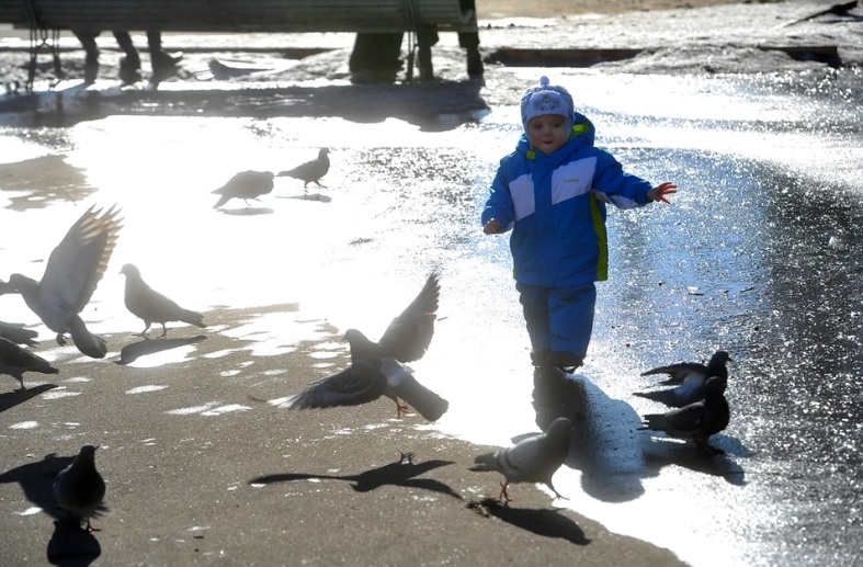 Во вторую половину праздников Ростовскую область ждет потепление до +16 градусов