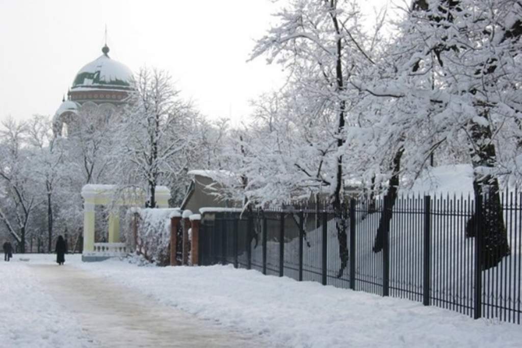 В Новочеркасске 21 февраля ожидается мокрый снег