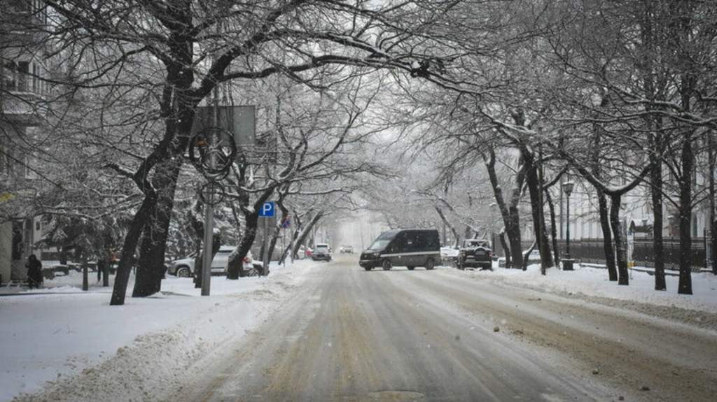 Заморозки и сильные осадки в виде снега ожидают Ростовскую область в ближайшие дни