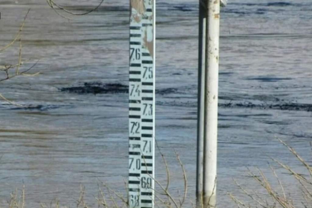 До критических отметок снизился уровень воды в Дону в середине апреля