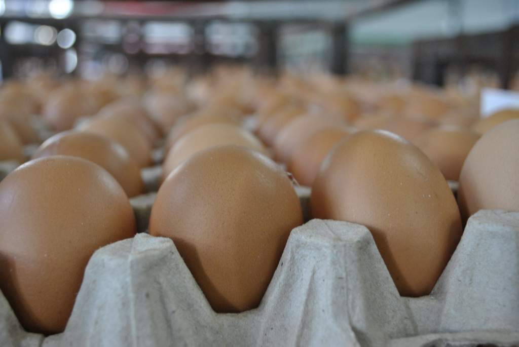 Из продуктов в Ростовской области сильнее всего подорожали яйца и курятина