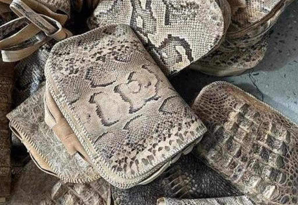 Росимущество в Ростовской области объявило распродажу конфискованных сумок из крокодиловой кожи