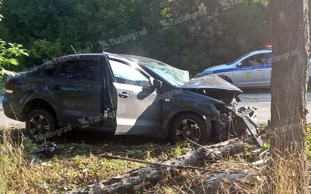 Пьяный водитель в Новочеркасске получил тяжелые травмы после ДТП с деревом