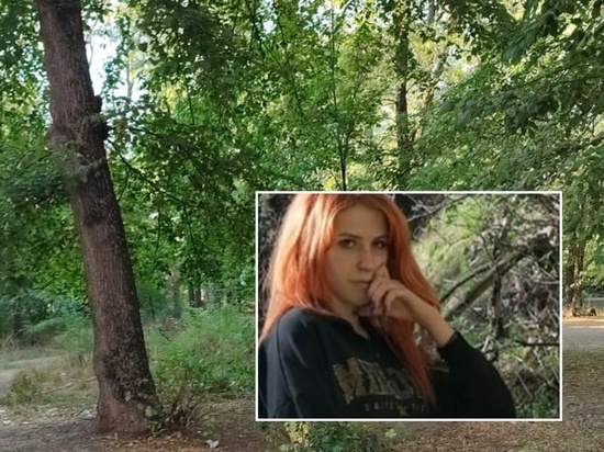 Дело убитой в Ростовской области год назад в лесополосе Татьяны Штанько взял под контроль глава СК