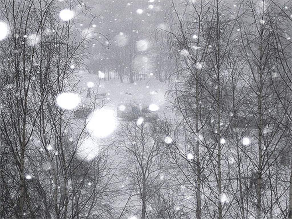 Ветер выл мокрый снег падал хлопьями. Снег за окном. Зима метель. Снегопад картинки. Снегопад за окном.