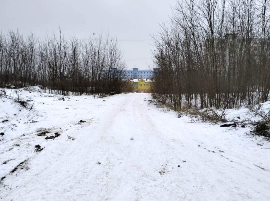 Депутаты Новочеркасска раскритиковали зимнюю уборку города